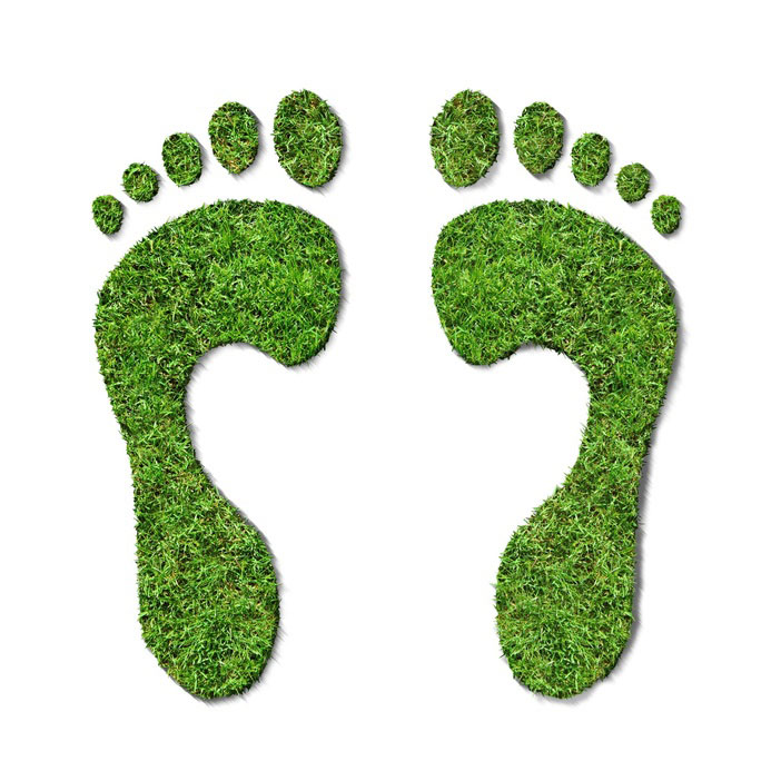 Club Carlson 1st Hotel Loyalty Program to Commit to Global Carbon Offsetting Initiative