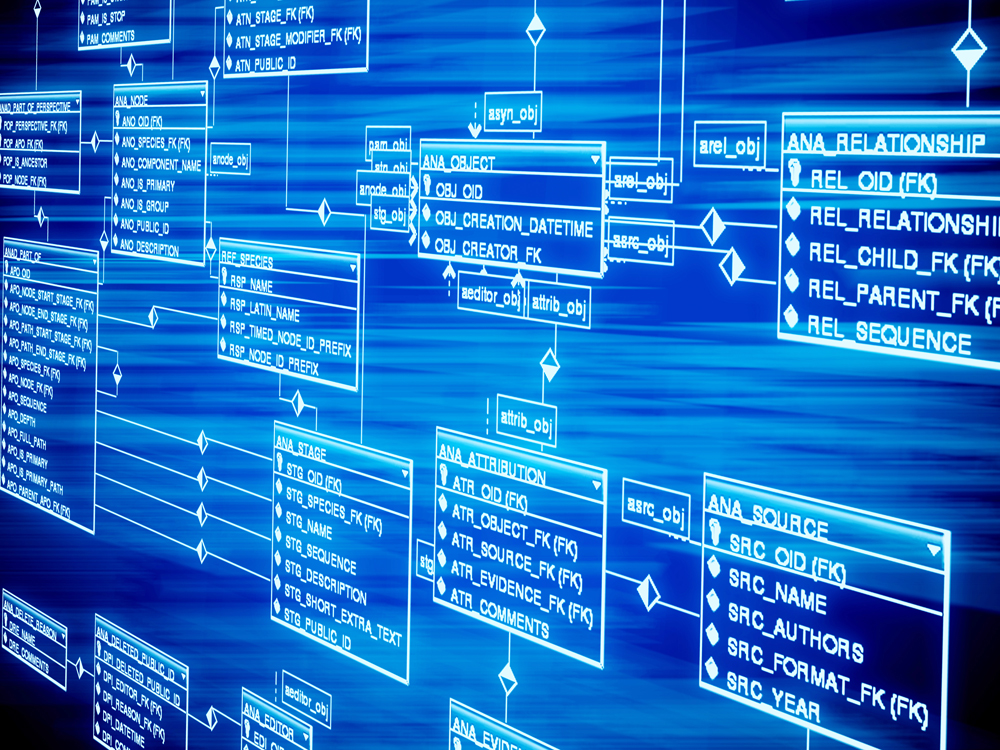 Brands Can Find “Email Insights” from Their Customers