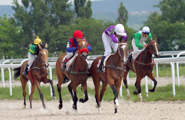 Loyalty360 Interview: New York Racing Association’s New Chief Experience Officer