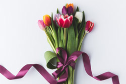 March Beyond the Flowers and Chocolates of 1-800-FLOWERS.COM, Inc., Part II 