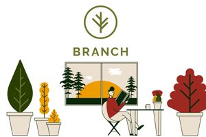 Q&A With Kim Klenk, Growth Marketing Director for Branch Insurance