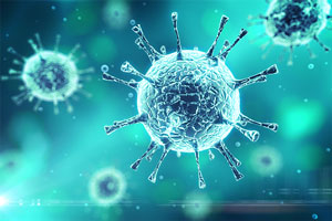 Brands Learn to Pivot to Engage Loyal Customer During Pandemic