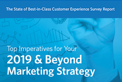 The State of Best-in-Class Customer Experience Survey Report: Top Imperatives for Your 2019 & Beyond Marketing Strategy