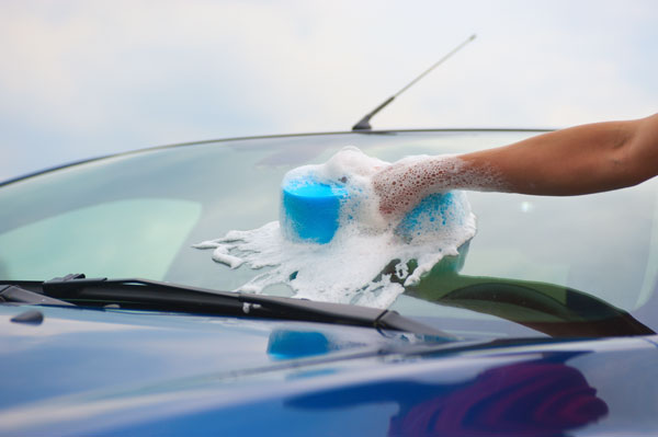 Mister Car Wash Constantly Looking to Elevate Customer Experiences