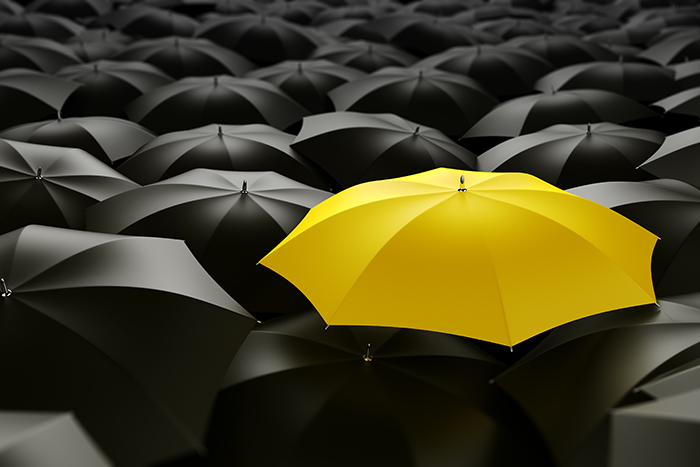It’s Raining Customer Loyalty: Why You Need an Umbrella Program