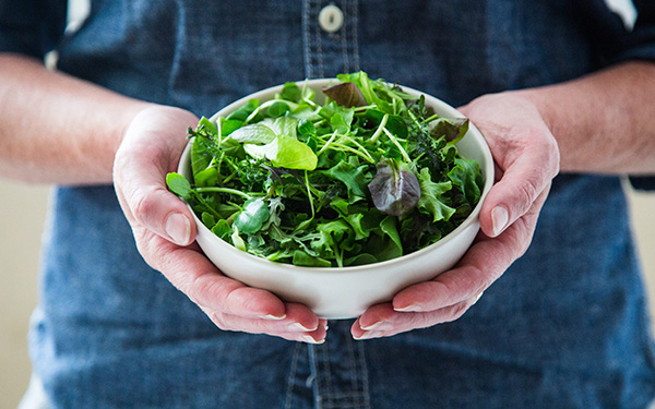 AeroFarms Develops New Ways of Growing the Customer Journey (Part 1 of 2) 