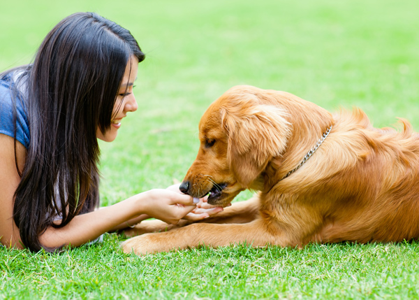 Nestlé Purina®, Lancôme, UFC use Loyalty Programs to Add Value to the Customer Experience