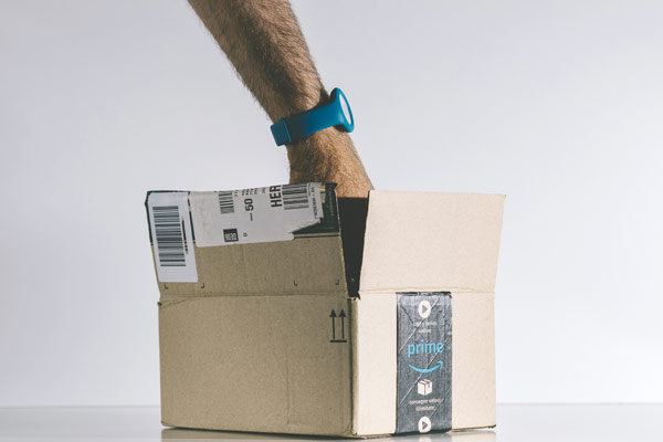 Amazon Shuttering Whole Foods Rewards Program, Instead Rewarding Shoppers Through Amazon Prime