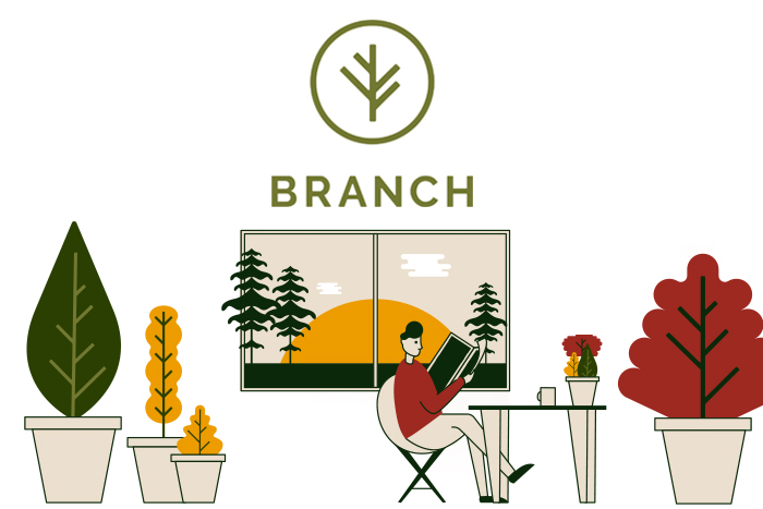 Q&A With Kim Klenk, Growth Marketing Director for Branch Insurance