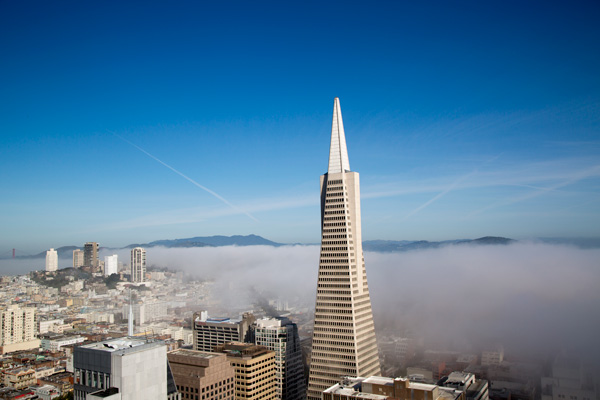 Transamerica Listens to Customers, Builds Brand Loyalty