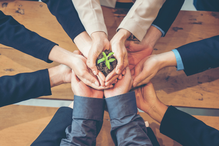 Go Green, Get Green With a Sustainable, Green Loyalty Program