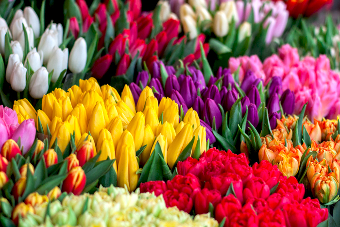 Beyond the Flowers and Chocolates of 1-800-FLOWERS.COM, Inc.
