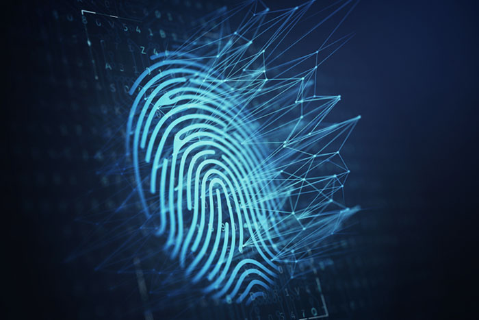 Why Your Business Needs Fraud Analytics