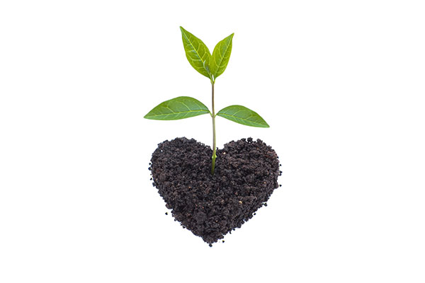 Consumers’ Desire for Green Products Remains Strong and Drives Brand Loyalty