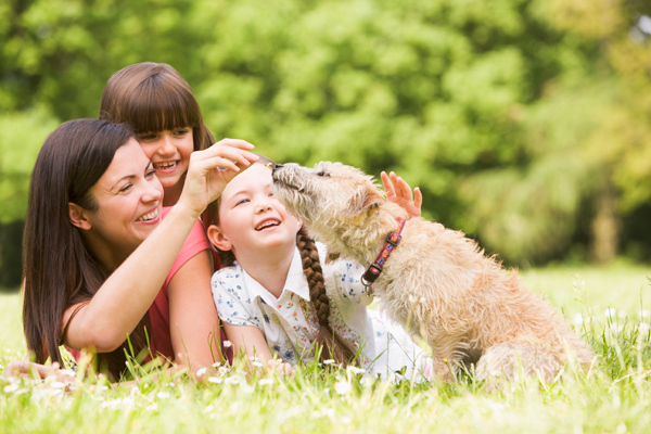 Brand Loyalty Booming at Freshpet