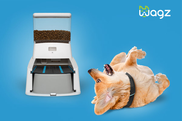 CX Turns Pet Friendly with Wagz 
