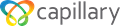 Capillary Technologies